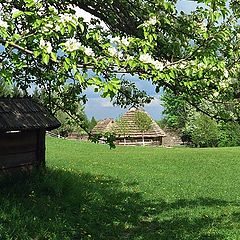 фото "Скоро весна"