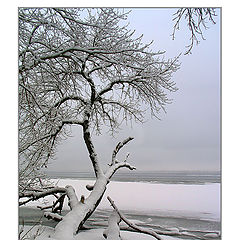 photo "imaginations of a snow landscape"