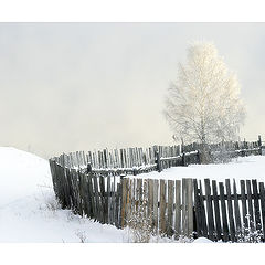 photo "Morning in village Porridge (Ovsianka)"