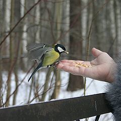 фото "Смелая :)"