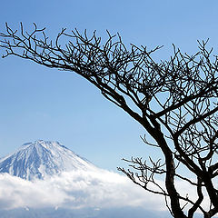 фото "View from Mount Onigatake"