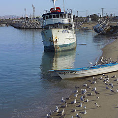 photo "puerto pescadores"