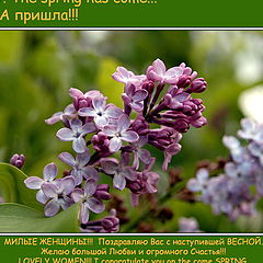 фото "ВЕСНА"