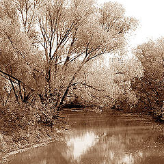 photo "Autumn dream"