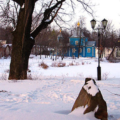 фото "Вечерний свет."