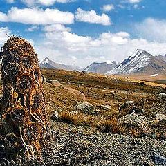 photo "September.Tian-Shan."