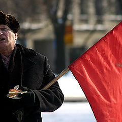 фото "перекусить или надоели папараццы"