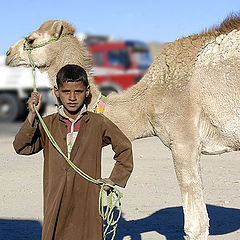 photo "in Egypt"