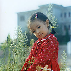 photo "my niece"