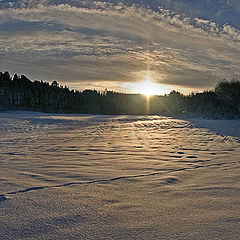 photo "Winter sun on Loholt"