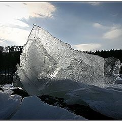 фото "Катунские зарисовки"