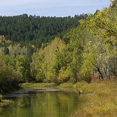 photo "Timber lake"