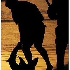 photo "Shark fishering, South Africa Rep."