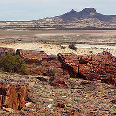 photo "lasting stony wood"