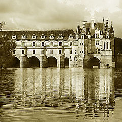 photo "Chenonceau"