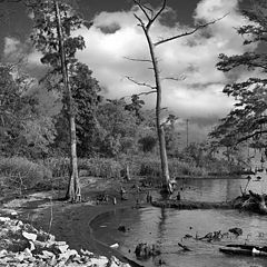 photo "Lakeshore"