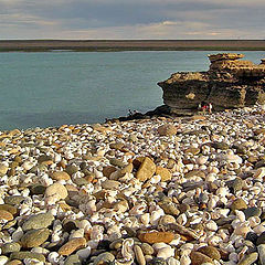 фото "the shell`s beach"