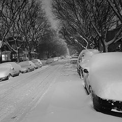 photo "snowy road"