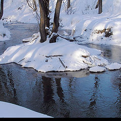 photo "February-snow island"