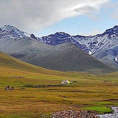 фото "Жизнь кочевая.Тянь-Шань."