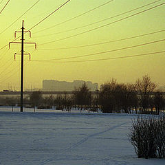 photo "Another frosty evening"