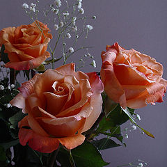 photo "To all ladies - March 8th greetings!"