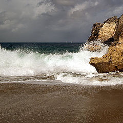 photo "After the Rain"