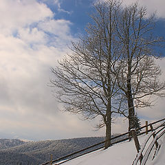 photo "Winter for a two..."