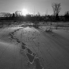 фото "Встречать солнце..."