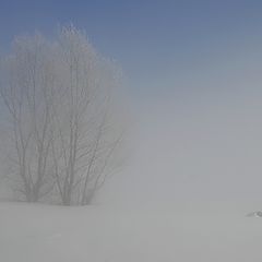 фото "Туманные зарисовки 3"