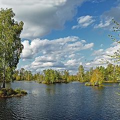 фото "Яркая осенняя болотная картинка"