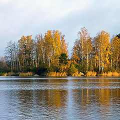 фото "Краски"