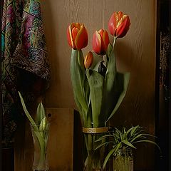 photo "Still-life with tulips"