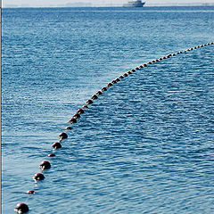 photo "Red Sea"