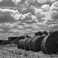 photo "grey landscape"