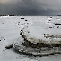 фото "Гамбургер"