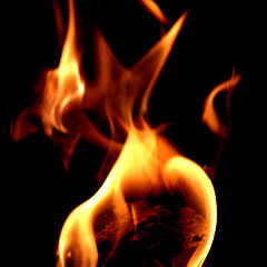 photo "fire"