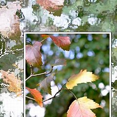 photo "Autumn"