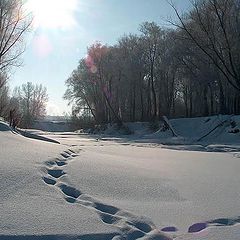 photo "White silence"