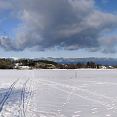 photo "View from Dragvoll to Trondheim Fjord"