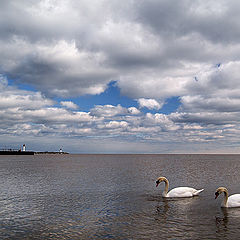 photo "Under the Blue Sky"