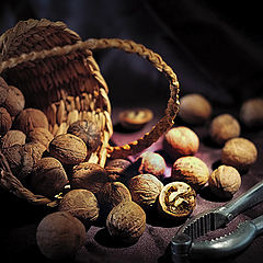 photo "Still-life with nutlets"