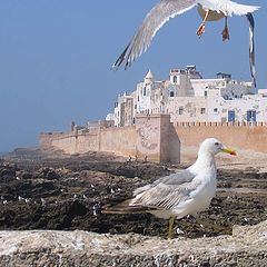 фото "Essauera fort"