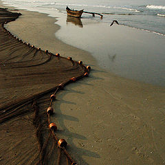 фото "Benaulim, Goa"