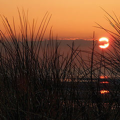 photo "Last decline of February..."