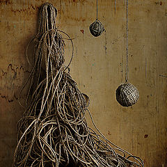photo "Ropes"