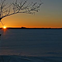 photo "Lonely"