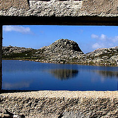 фото "The Window"