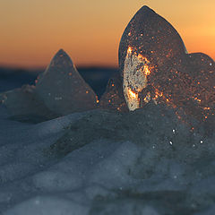 photo "Ice Sculpture"