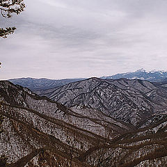 photo "The pinnacles"